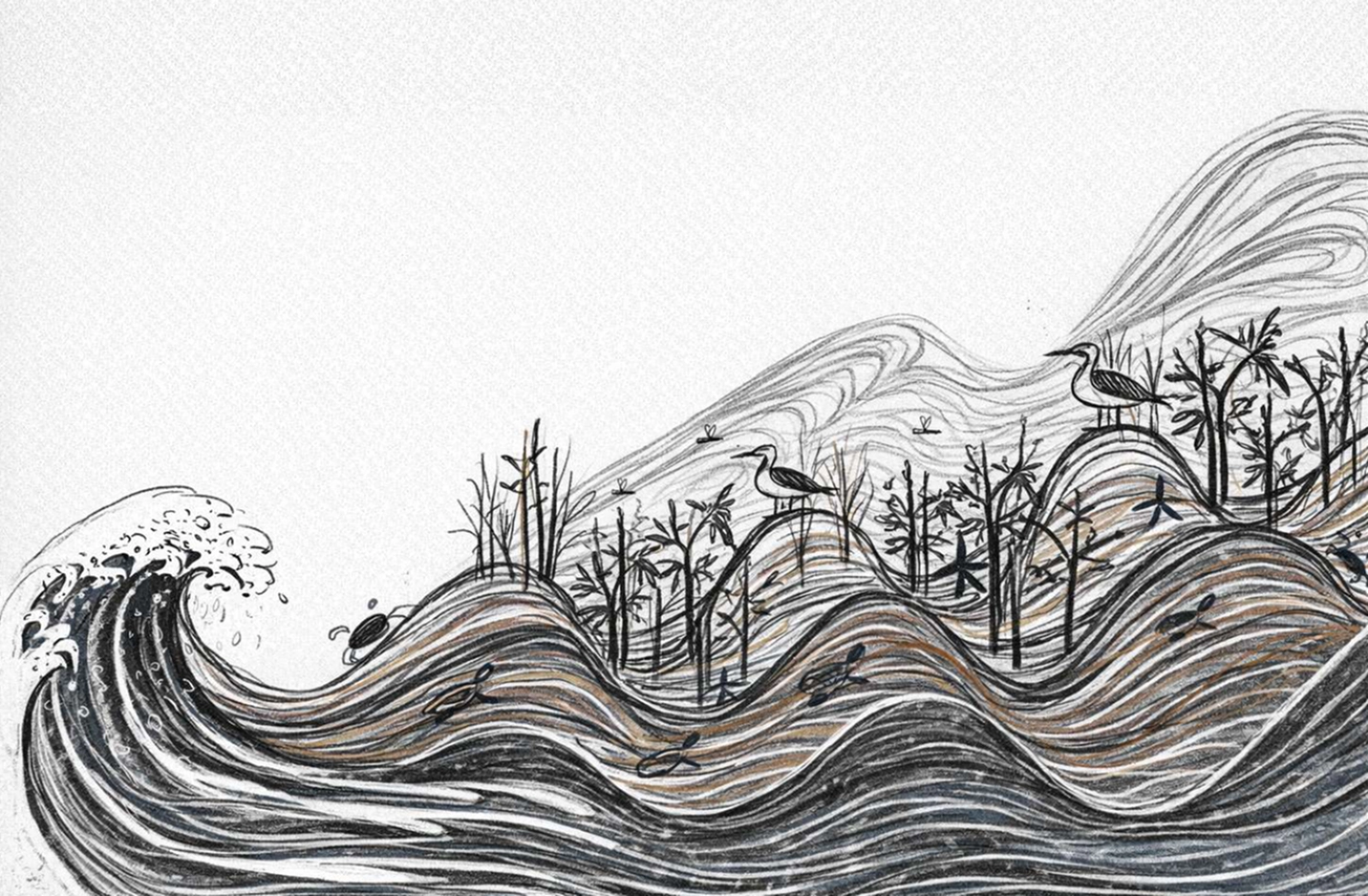 wave in nature illustration